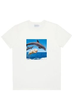 T-Shirt Dolphins - Bask In The Sun